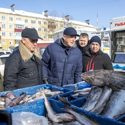 К продаже свежей рыбы по сниженным ценам на Сахалине подключаются новые  предприятия - Новости Сахалинской области - astv.ru