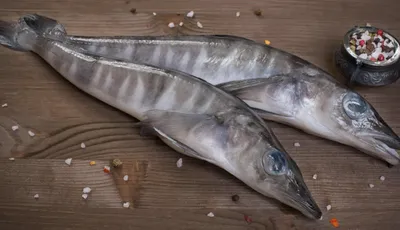 Сардина (Sardina plichardus) - sharkseafoods.com