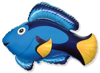 Рыба - еж. рыба - шар. рыба - колючка — цена 100 грн в каталоге Аксессуары  ✓ Купить товары для дома и быта по доступной цене на Шафе | Украина  #49659998