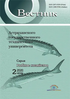 Рыба шипы легко оловянной фольги Стоковое Фото - изображение насчитывающей  вода, меконг: 172009642