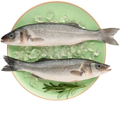Сибас и Дорада - акция недели👇 Охлажденная рыба из Турции на этой неделе  будет продаваться по акционной цене 4590 тг/кг. Вес каждой рыбки… |  Instagram