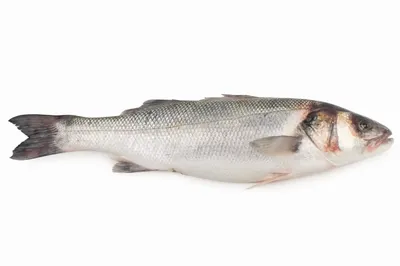 Рыба Сибас 700 г - купить в Твой Дом - Сбермаркет, цена на Мегамаркет