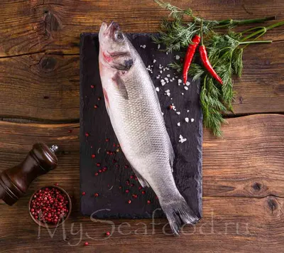 Сибас Чилийский (Клыкач патагонский) свежемороженный ~ 5-6 кг в шт купить в  Москве с доставкой на дом по цене 35750 руб Интернет-магазин Fish Premium