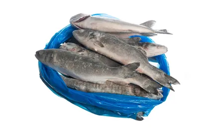 СИБАС КУПИТЬ В МОСКВЕ - цена в магазине рыбы и морепродуктов MySeafood  MARKET
