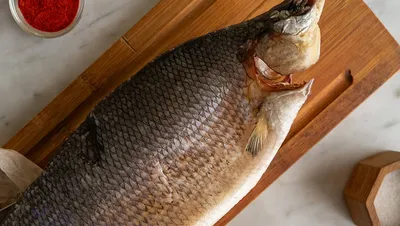 Вяленая рыба Сиг океанический молочный / Снеки Альянс 2 кг - купить с  доставкой по выгодным ценам в интернет-магазине OZON (406709863)