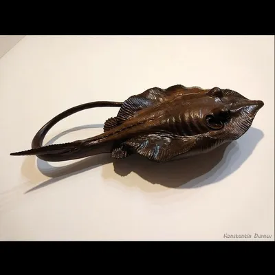 Рыба пятнистый скат-хвостокол Taeniura lymma Forsskål, 1775 (чучело) :  Музей истории мироздания