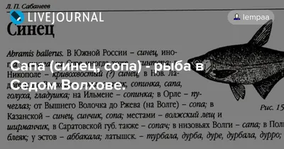 Вяленая рыба дешево купить в СПб | Вяленая рыба оптом купить от  производителя СПб