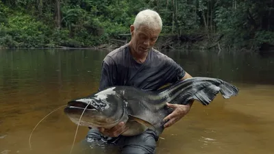 Sareng Catfish | River Monsters Wiki | Fandom
