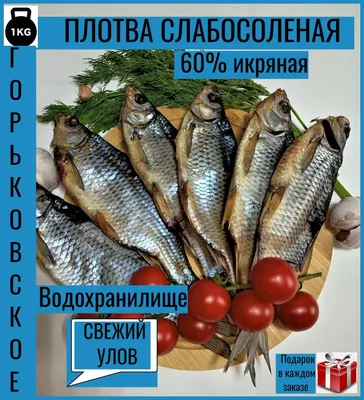 Как правильно солить, сушить, вялить рыбу. Плотва, Сорога, Таранка. Самая  вкусная рыба! - YouTube