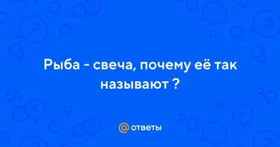 благодатное - вести с водоемов. Рыбалка, прогноз клёва, погода