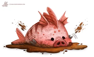 Красный Свинья Рыба — стоковые фотографии и другие картинки Pigfish -  Pigfish, Без людей, Вода - iStock