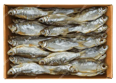 🐟 Вяленая рыба Тарань с икрой (средне-крупная) 👉 купить 💸 цена