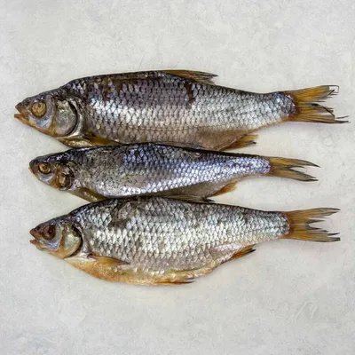 Вяленая рыба Тарань 5 кг / Снеки к пиву Альянс - купить с доставкой по  выгодным ценам в интернет-магазине OZON (400735235)