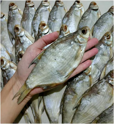 Тарань вяленая | Вобла - Интернет-магазин вяленой рыбы