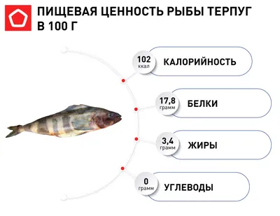 Терпуг: польза и вред рыбы| от Роскачества