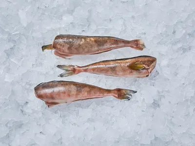 Рыба Терпуг, запеченная в фольге рецепт с фото пошагово | Рецепт |  Национальная еда, Еда, Рецепты