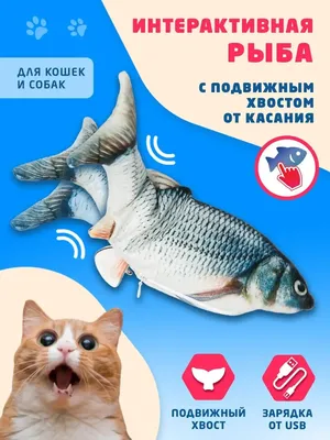 Аквариумных рыбок. Cichlid Astronotus или «Оскар». Пресноводная рыба.  Astronotus Тигр. Яркая рыба Оскар южный- американец Стоковое Фото -  изображение насчитывающей река, взорвать: 213359682