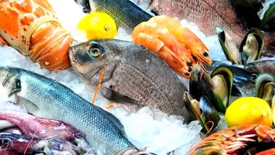 Рыбы Тилапия в Екатеринбурге — Купить в Интернет-магазинах, Низкие Цены.