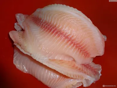 морепродуктов свежая замороженная красная рыба тилапия рыжая рыба тилапия  красная для покупателей рыбы тилапии| Alibaba.com