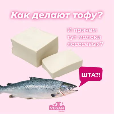 Как делают тофу?