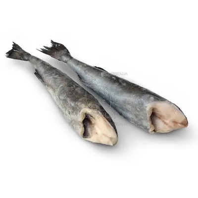 Треска черная тушки с/м (1,2-1,8) купить по выгодным ценам в Киеве,  заказать Рыба онлайн в интернет магазине морепродуктов ribka.ua