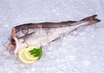 Треска морская 2-4 кг | Barakat seafood