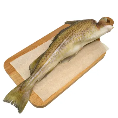 Подушка-рыба Gaby Треска 75х23см(3KB2043) (ID#1282774512), цена: 850 ₴,  купить на Prom.ua