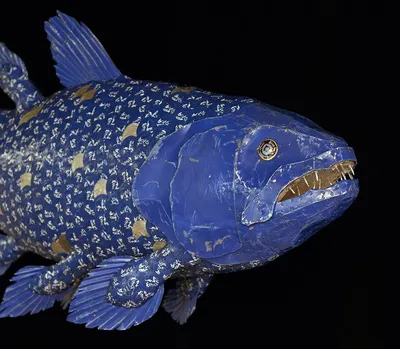 Латимерия или целакант (лат. Latimeria или Coelacanth) – Интересные животные