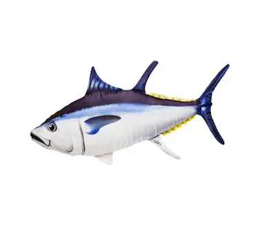 На Курильских островах выловили самого большого за несколько десятилетий  тунца | fishcom.online