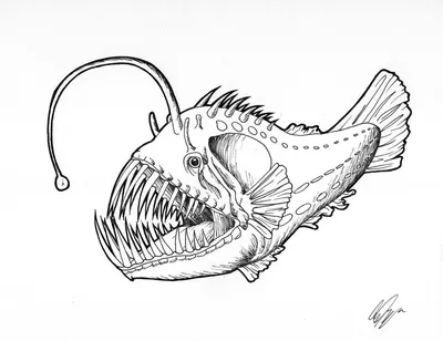 Глубоководная хищная рыба-удильщик с…» — создано в Шедевруме