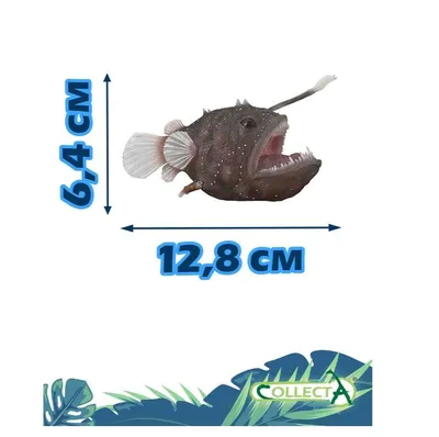 Удильщик (Goosefish) | Пикабу