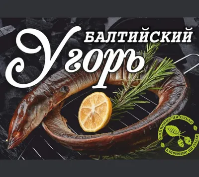 Угорь Все виды рыбы способы и места ловли в водоемах Ленинградской области