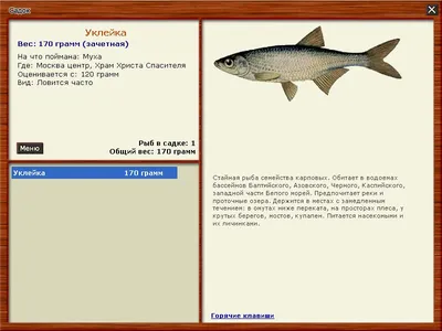 Уклейка - fishstocking.ru