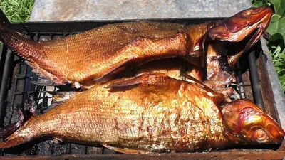 По-дальневосточному: как приготовить рыбу в шарабане — Новости Хабаровска