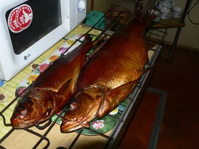 По-дальневосточному: как приготовить рыбу в шарабане — Новости Хабаровска