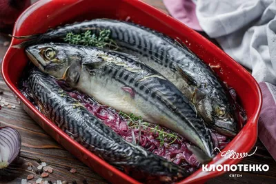 Дикий белок - 🐟Мы знаем, как сделать так, чтобы любая рыба стала сочной и  приобрела очень нежный вкус. Предлагаем вам воспользоваться нашим  наивкуснейшим рецептом минтая в сметанном соусе, от вкуса которого вы