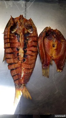 Рыба вяленая и холодного копчения в ассортименте в Краснодаре