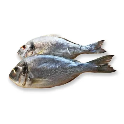 Вобла вяленая (крупная) купить по выгодным ценам в Киеве, заказать Рыба  вяленая и сушеная онлайн в интернет магазине морепродуктов ribka.ua