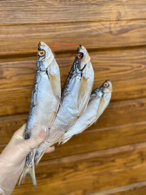 Вяленая рыба Бычок 2 кг / Снеки Альянс - купить с доставкой по выгодным  ценам в интернет-магазине OZON (401479678)