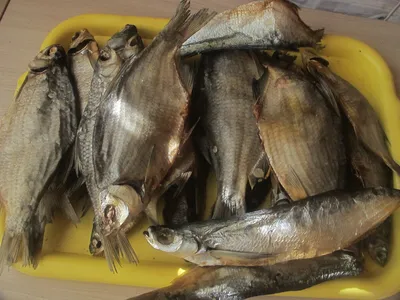 Рыба вяленая Доставка рыбы на дом! – Магазин «Рыбный»