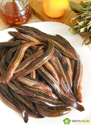 Рыба для пруда: вьюн 22-30 см — купить в Омске.