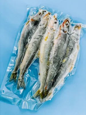 🐟 Царь-корюшка, или царица - в наличии очень крупная камчатская  корюшка-зубатка (по-камчатски зубарь), длинной более.. | ВКонтакте