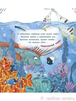 Книга \"Морской звездочёт и другие удивительные рыбы\" Галина Ильина - купить  в Германии | BOOQUA.de