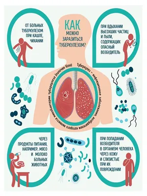 Туберкулез - Новости - Роспотребнадзор - Государственные организации  информируют - Официальный сайт администрации городского округа Нижняя Салда