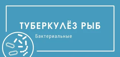 Капсулы рыбий жир лосося 1000 мг (VISTRA Salmon Fish Oil 1000mg) - купить в  интернет-магазине Доктор Таиланд