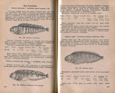 Список вредных видов рыбы, которую лучше не есть - 11 апреля 2021 -  Фонтанка.Ру