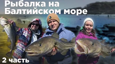 Необычные обитатели Балтийского моря | Куршская Коса - национальный парк