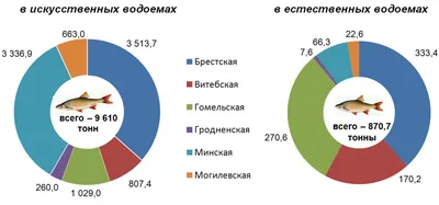 Минсельхозпрод: в 2021 году производство рыбы составило 14,8 тонн