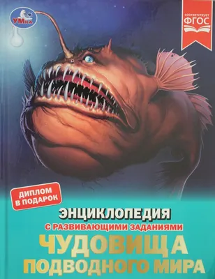 Посмотрите, как выглядят рыбы-улитки на рекордной глубине более 8 км | РБК  Life