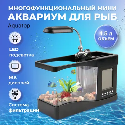 Рыбки для первого аквариума - Aquael